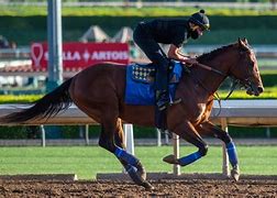 Image result for Horse Racing Santa Anita