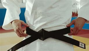 Image result for Highest Jiu Jitsu Belt