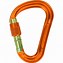 Image result for Carabiner with Pulley