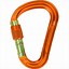 Image result for Carabiner Hook with Lock
