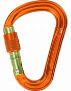 Image result for Climbing Carabiner