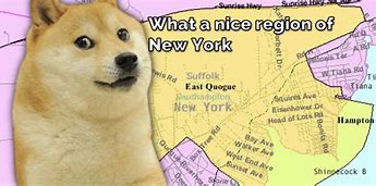 Image result for All Doge Memes