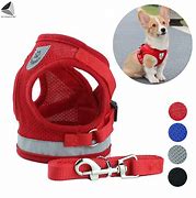 Image result for Easy Walk Purple Harness
