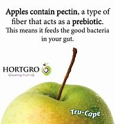 Image result for Apple Pear Health Benefits