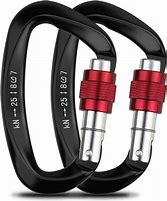 Image result for Climbing Carabiner Clip