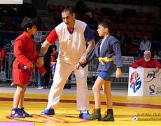 Image result for Sambo Martial Art