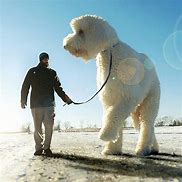 Image result for Real Giant Dog