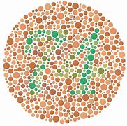 Image result for daltonismo