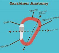 Image result for Carabiner Diagram