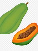 Image result for Orange Papaya Clip Art