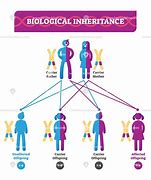 Image result for Biological Inheritance