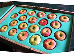 Image result for Apple Boxes for Photography