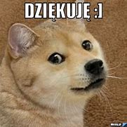 Image result for Meme Obrazek