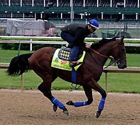 Image result for Horse Racing Kentucky Derby