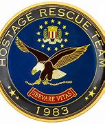Image result for FBI HRT Logo
