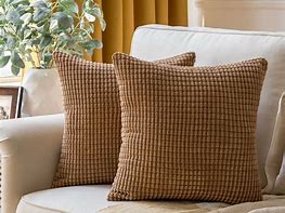 Image result for Living Rooms Fall Throw Pillows