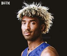 Image result for Grey Hair NBA Player