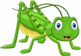 Image result for Cute Cartoon Grasshopper