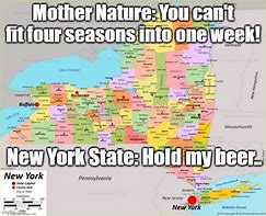 Image result for New York Weather Meme