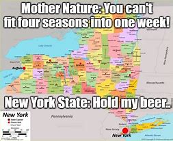 Image result for NYC Weather Meme