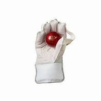 Image result for Wicket Keeping Gloves Kids
