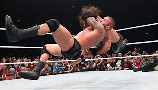 Image result for WWE Wreslting Moves
