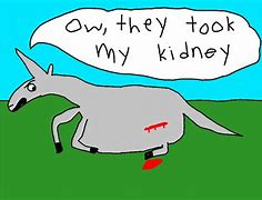 Image result for Charlie the Unicorn Kidney