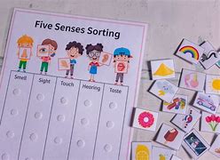 Image result for 5 Senses Sorting