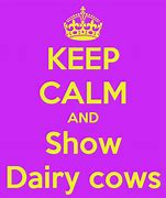 Image result for Types of Dairy Cows in Kenya