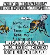 Image result for Da Bee Meme