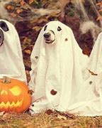 Image result for Mischief Night Decorations