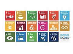 Image result for Timeline of the SDGs