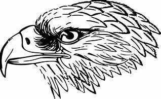 Image result for Eagle Head Outline