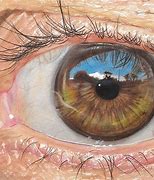 Image result for hyper realistic eyes draw