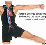 Image result for Aerobic Exercise
