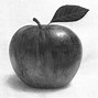 Image result for Eating Apple Drawing Detailed
