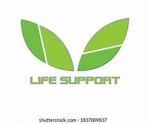 Image result for Life Support Logo