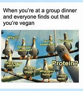 Image result for Vegan Meme Humor