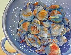 Image result for Clam Art