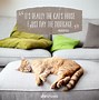 Image result for Beautiful Cat Quotes