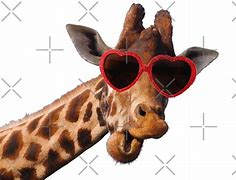 Image result for Giraffe Sunglasses