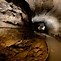 Image result for Grand Canyon Caverns Mammoth Dome
