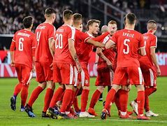 Image result for Serbia Players