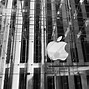 Image result for Apple Store Chicago Glass