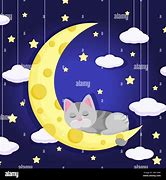 Image result for Cat Sleeping On Moon