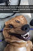 Image result for Funny Hello Dog Memes
