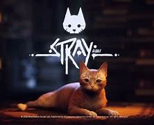 Image result for Stray Cat Game PS4