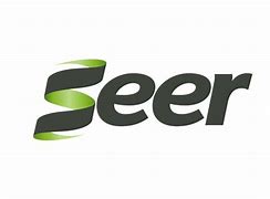 Image result for Seer Bit Logo