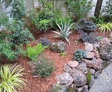 Image result for Moss Rock Decor