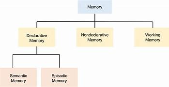 Image result for 25 Types of Types of Memory